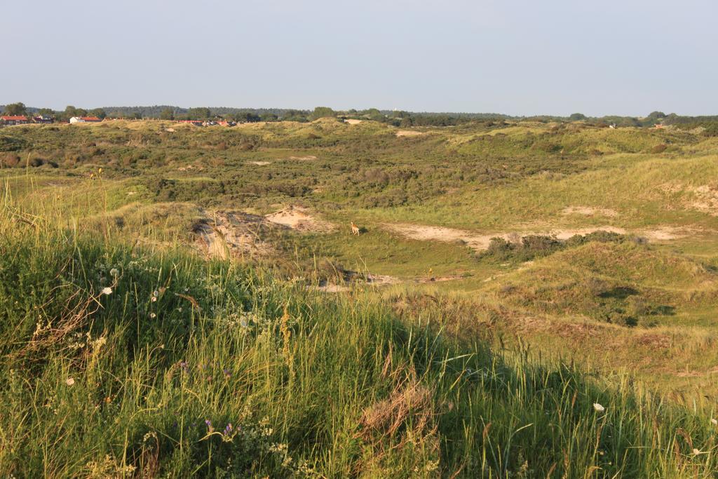Posthuisje Zandvoort Quarto foto
